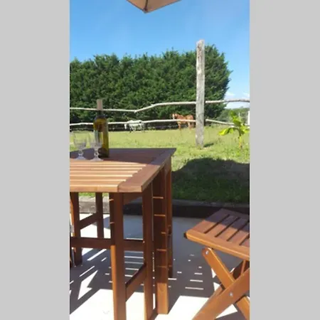Studio Champetre Aux Abords De L'ile D'oleron Vakantiehuis Saint-Just-Luzac